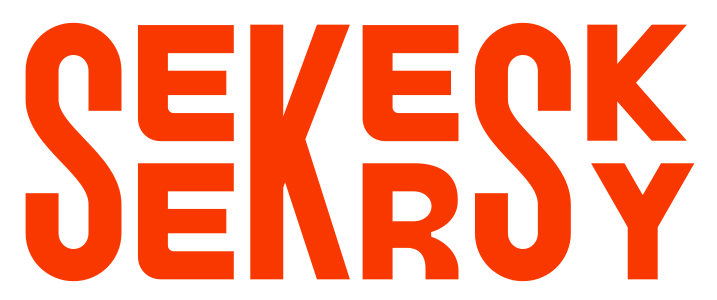 Seekersky Transparent Logo