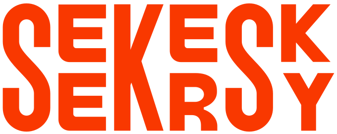 Seekersky Logo